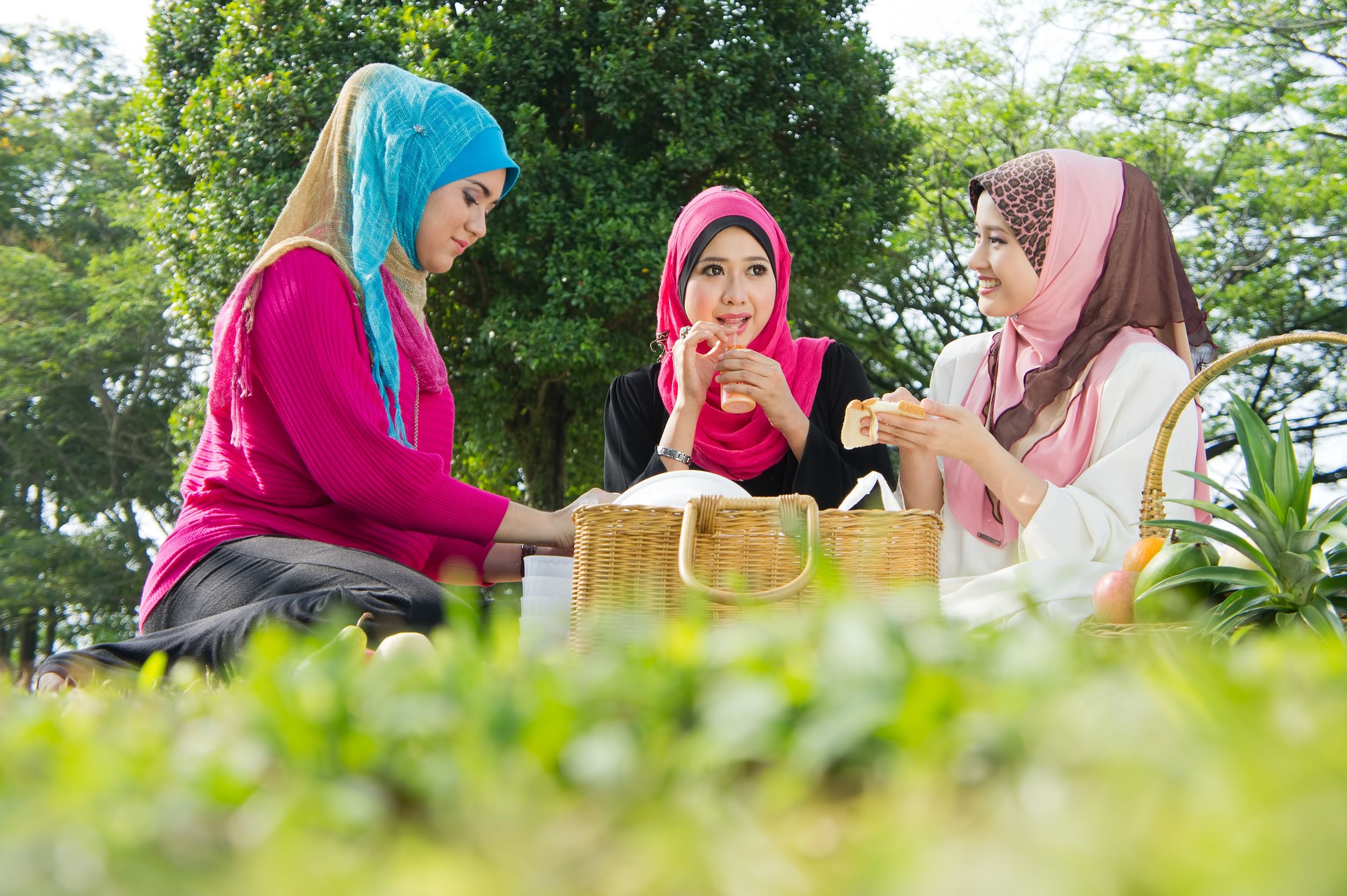 10612810 - beautiful muslim girlfriends on picnic at park